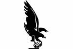Phil-Pitt Combine Old Team Logo
