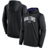 WZY_NFL_Pullover_Hoodie_Baltimore_Ravens_Football_Wear_Black_W26