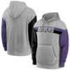 WZY_NFL_Team_Hoodie_Baltimore_Ravens_Footbatll_Apparel_Grey_W3