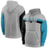 WZY_NFL_Team_Hoodie_Carolina_Panthers_Footbatll_Apparel_Grey_W4