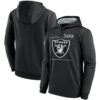 WZY_NFL_Team_Hoodie_Las_Vegas_Raiders_Football_Wear_Black_T15