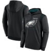 WZY_NFL_Team_Hoodie_Philadelphia_Eagles_Football_Wear_Black_T12